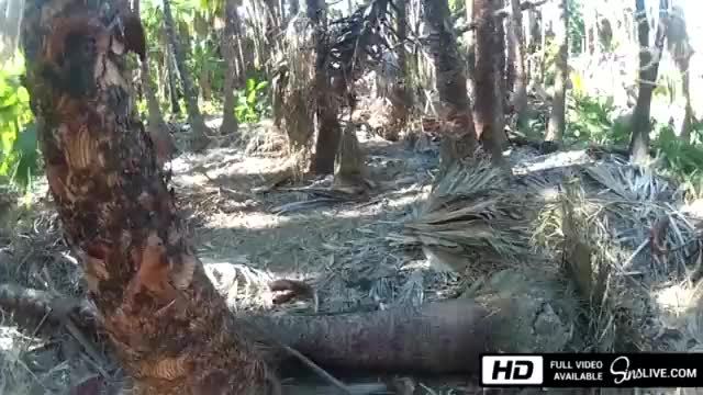 Baisé dans une plage mexicaine publique - sinslife