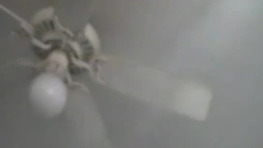 Mygf18 bad girl blows good dick.p4
