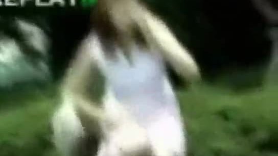 Jeu stupide dans la rue
