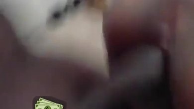Une jeune chatte noire de collège