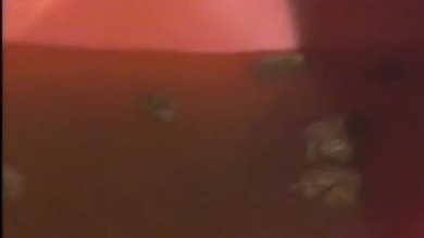 Deux gars donnent un lavement à une fille