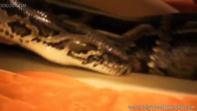 La danse du serpent sensuel