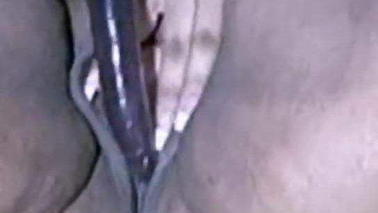 Chatte juteuse pour maxpayne