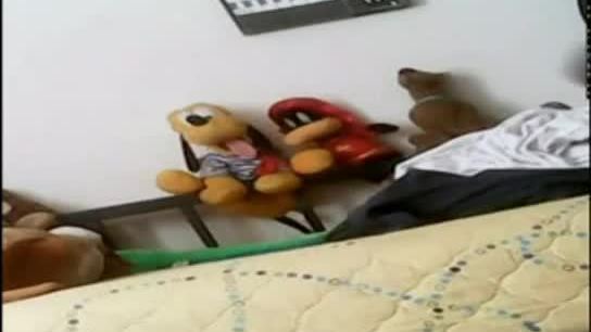 Animal en peluche Chica qui secoue