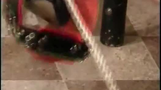 Traitement des chattes sur mesure