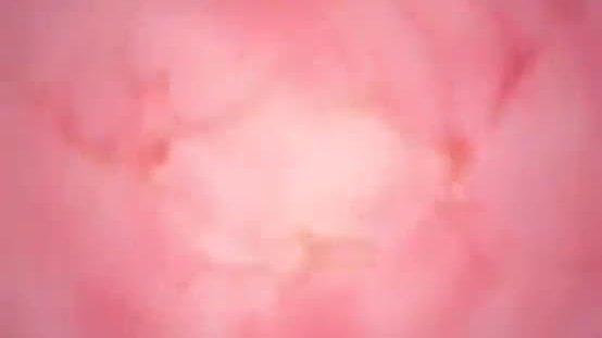 Fantasy anime hentai www.bestbuyporn.top