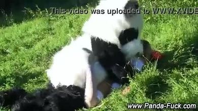 Jouet panda et ado faux visage