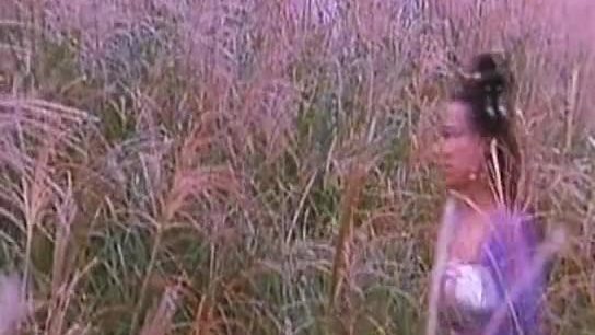 Tou se yi hung mou(english subs)