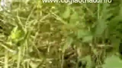 Videoplayback?id=0796c7de912ed1f2&itag=5&app=blogger&ip=0.0.0.0&ipbits=0&expire=